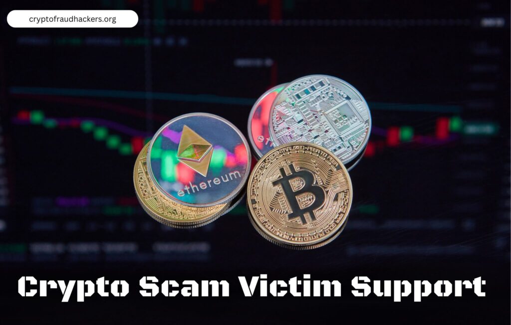 Crypto Scam Victim Support by community in december 2024